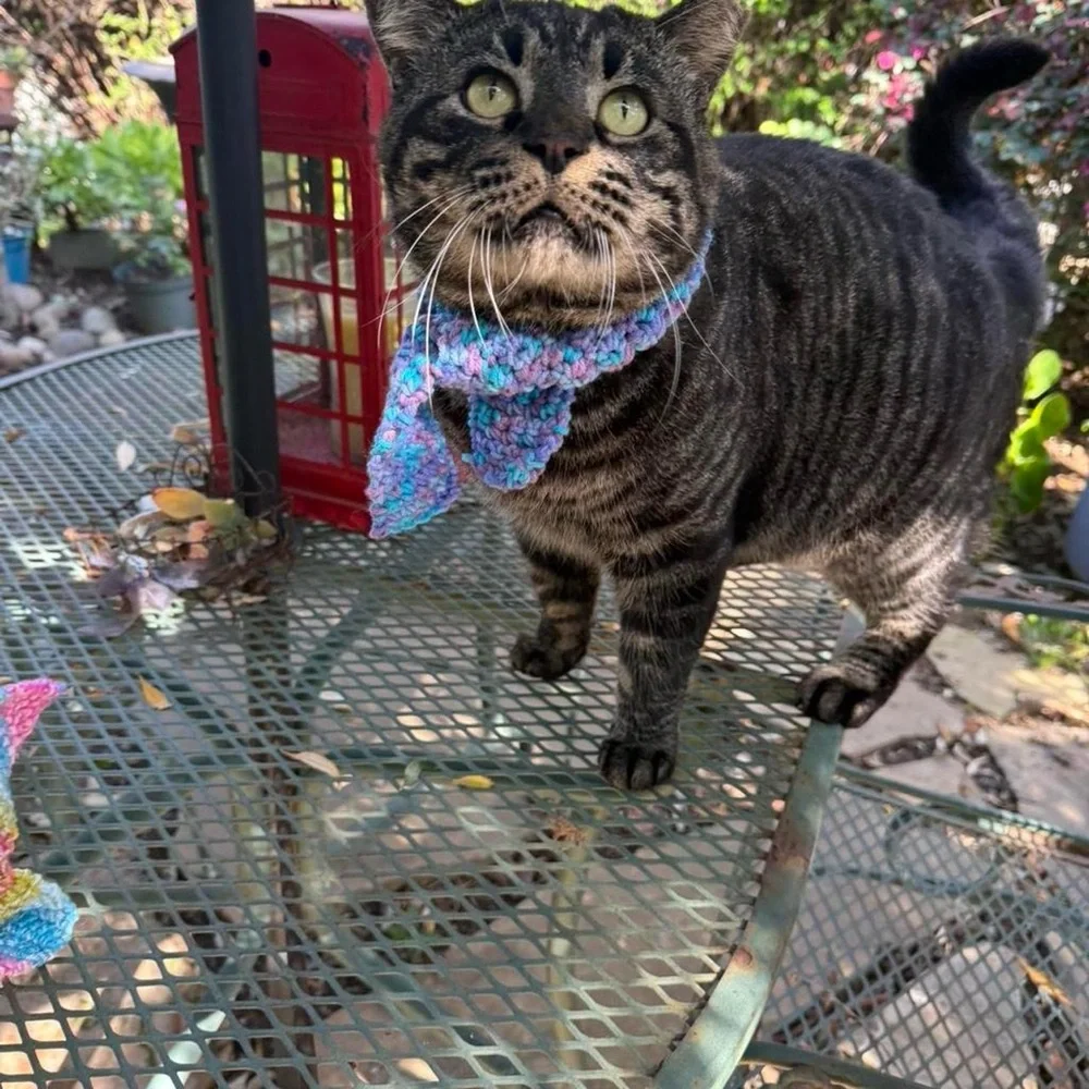 Adorable Handmade Blue and Purple Cat / Dog Scarf